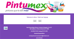 Desktop Screenshot of pintumexcampeche.com